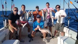 Lake Michigan Brown Trout Chicago