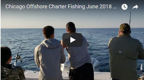 Chicago Fishing Charter 4 Fish at a time