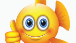 Chicago Fishing Trip Face