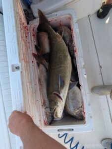 Chicago Fishing Fall